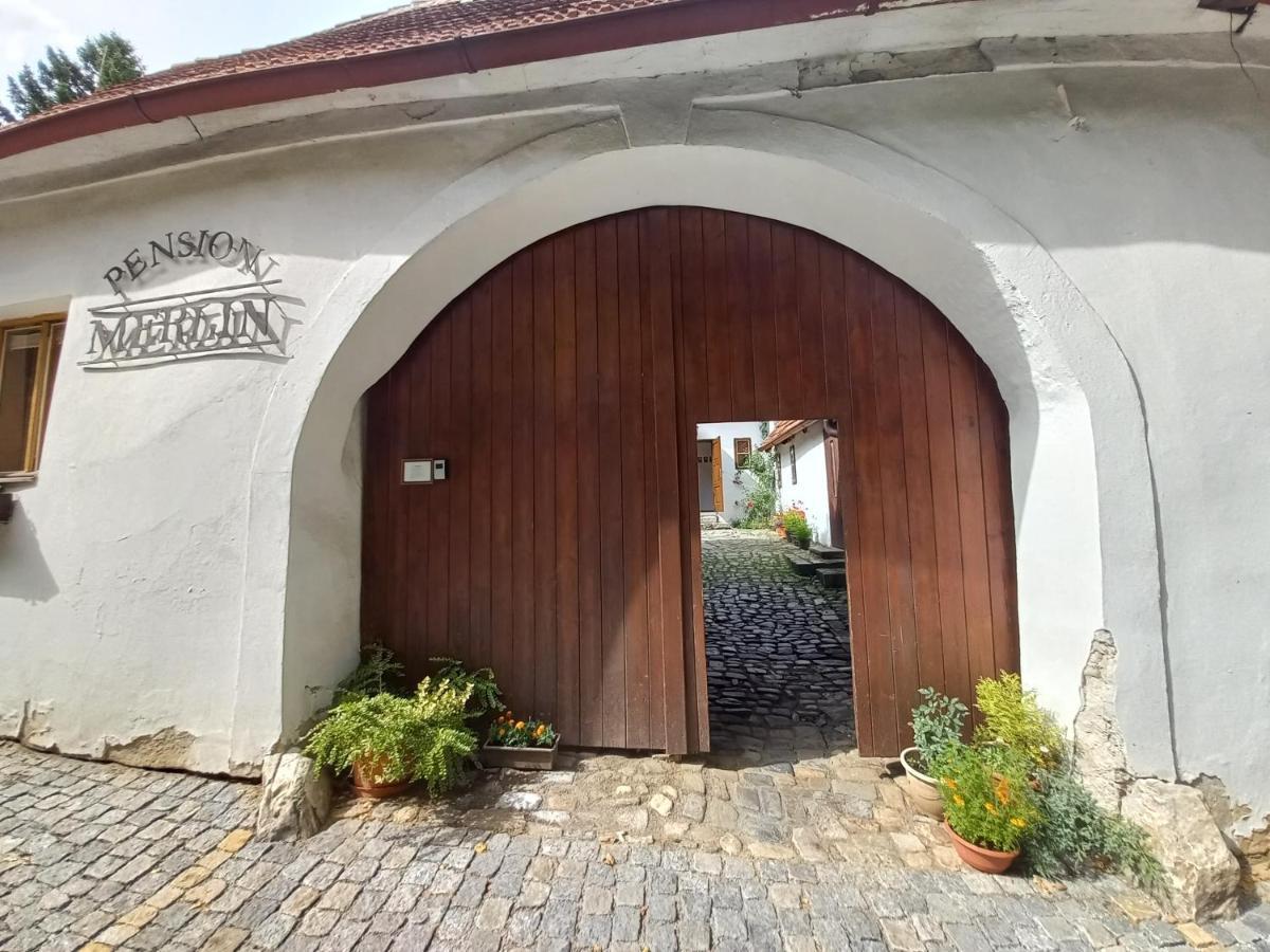 Penzion Merlin Český Krumlov المظهر الخارجي الصورة