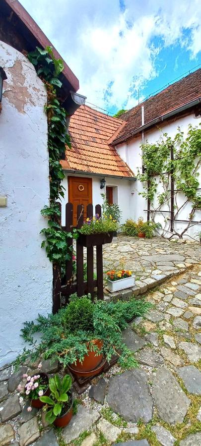 Penzion Merlin Český Krumlov المظهر الخارجي الصورة