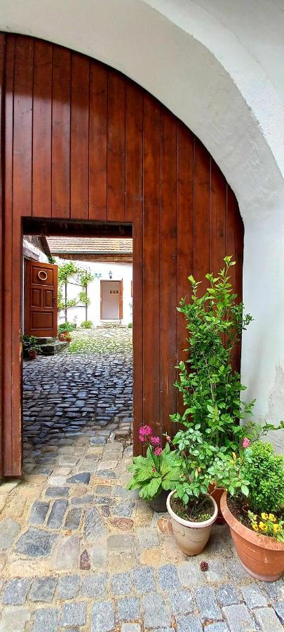 Penzion Merlin Český Krumlov المظهر الخارجي الصورة