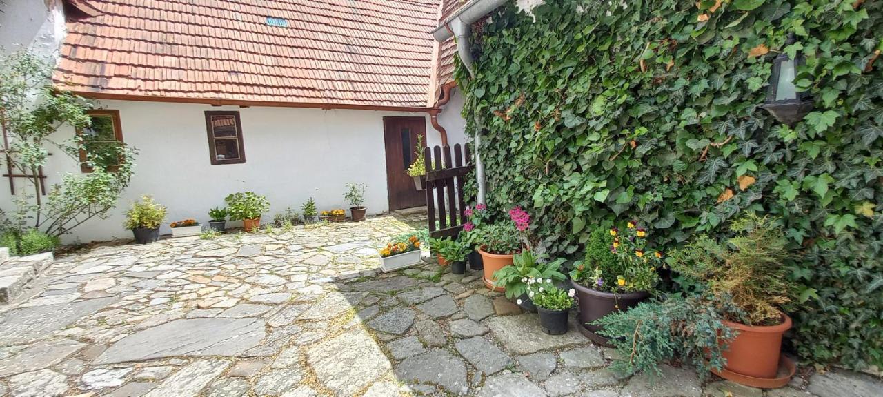 Penzion Merlin Český Krumlov المظهر الخارجي الصورة